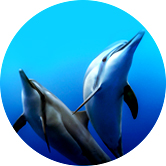 成都极地海洋世界